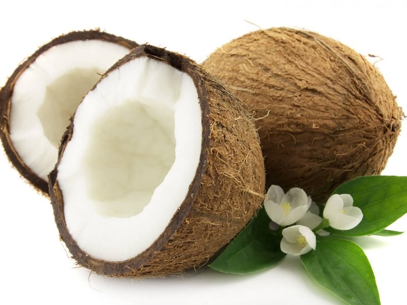 coconut-fruit-with-white-camellia-flowers-k5sowsl5g3nc3dz0